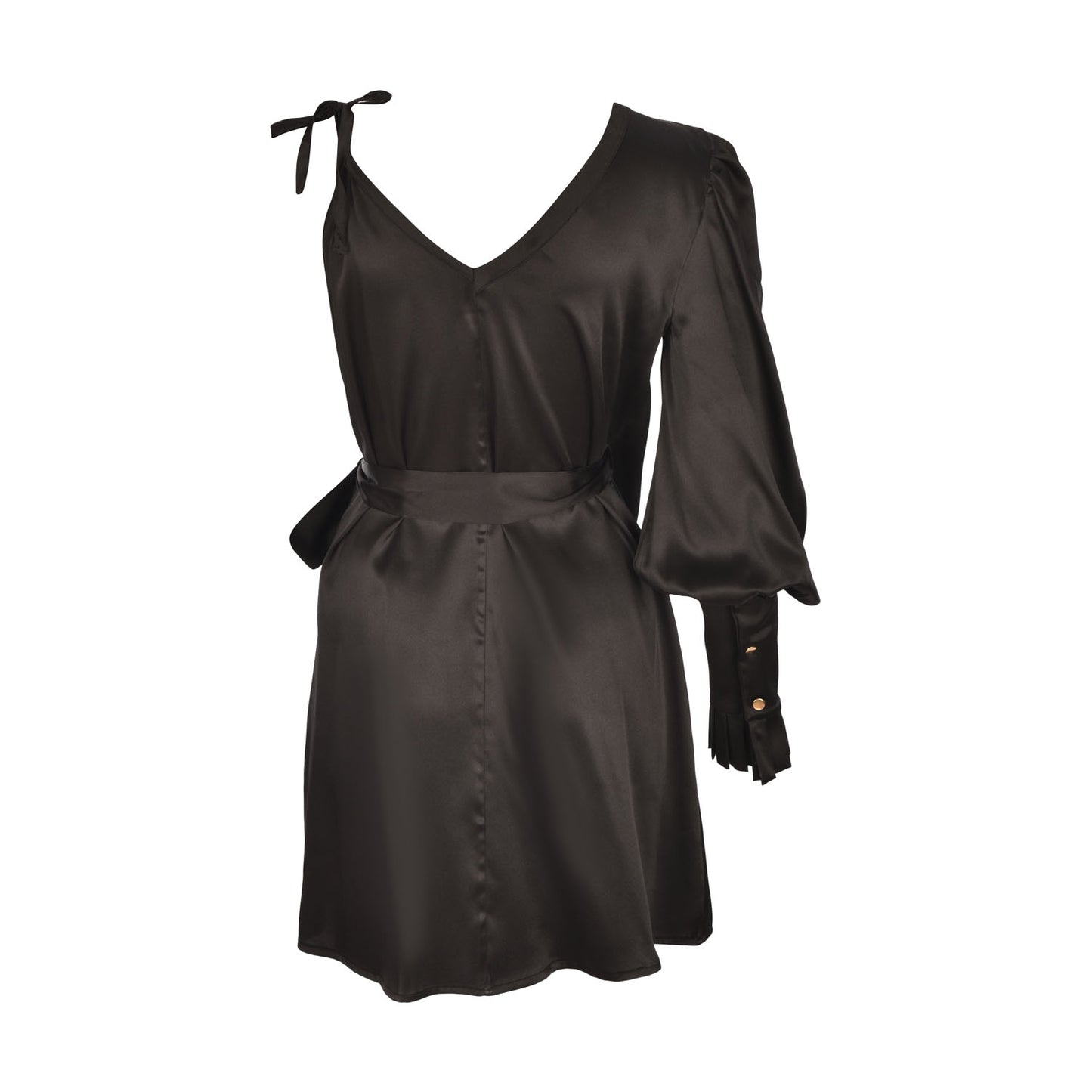 YSM Silk Dress - pleasureofsilk