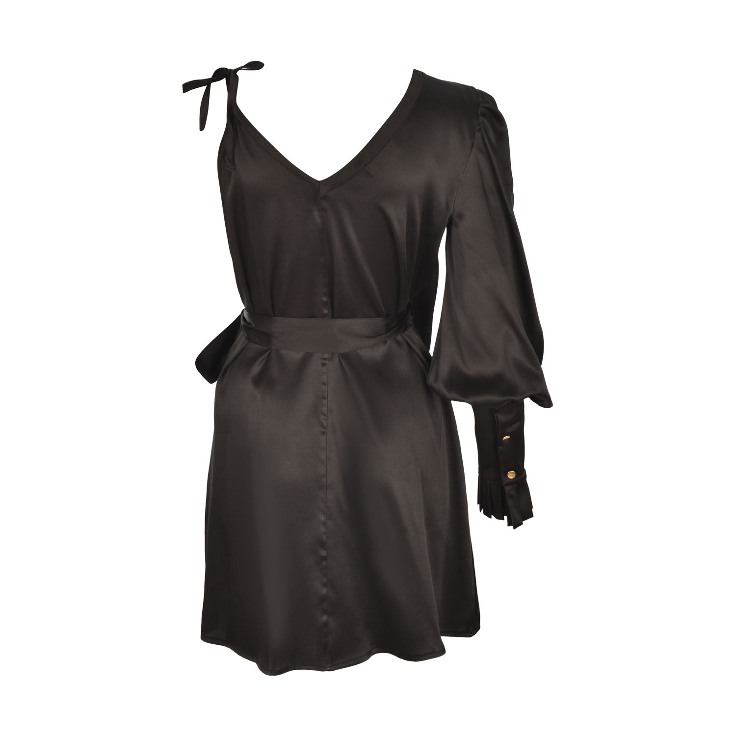 YSM Silk Dress - pleasureofsilk